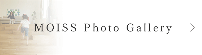 MOISS Photo Gallery